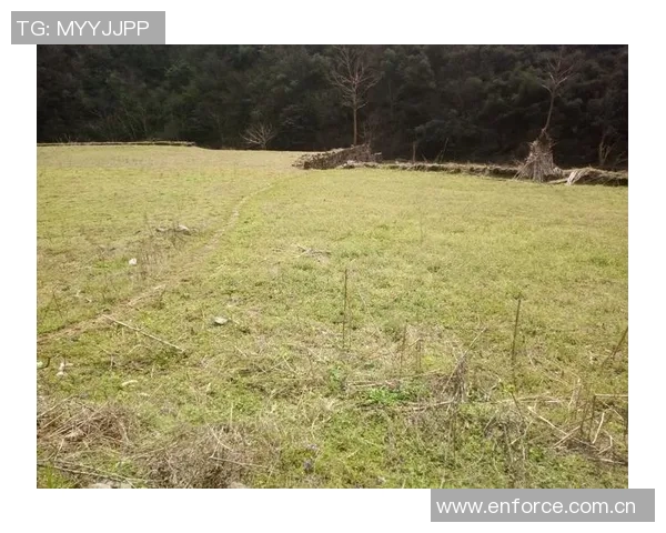 艾弗森回忆童年穿着风格独特自学成才的成长经历分享