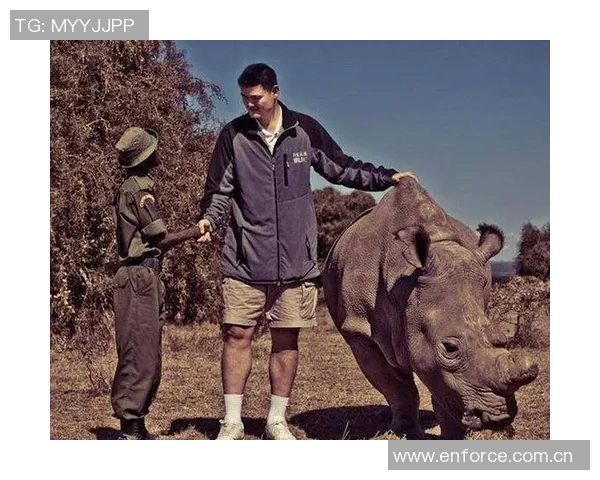 姚明谈篮球场内外的差异：透明竞技与复杂人生的对比分析